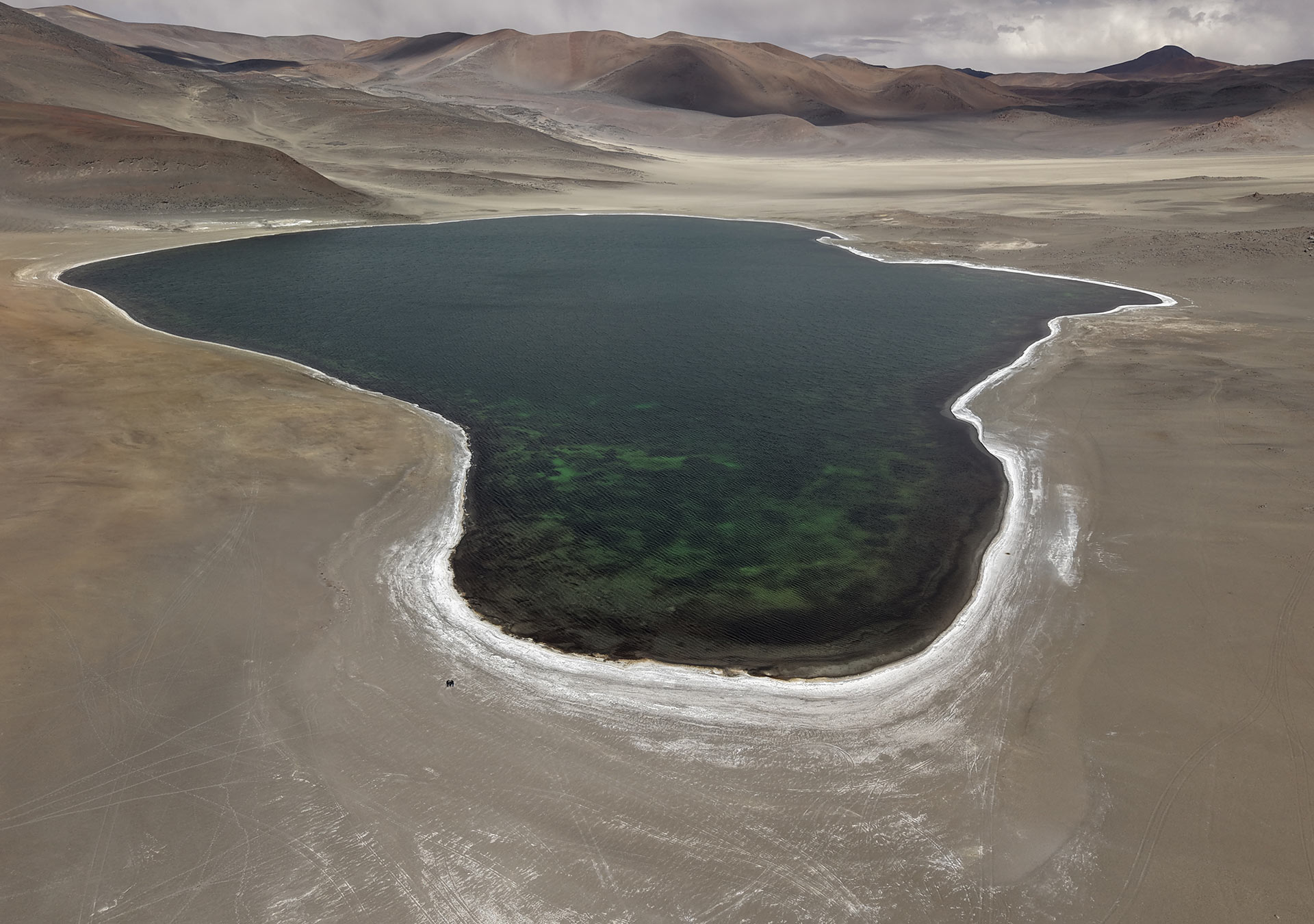 Lastarria Lagoon, Catamarca, Argentina